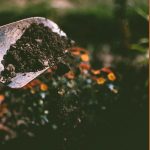 preparing flower beds for spring