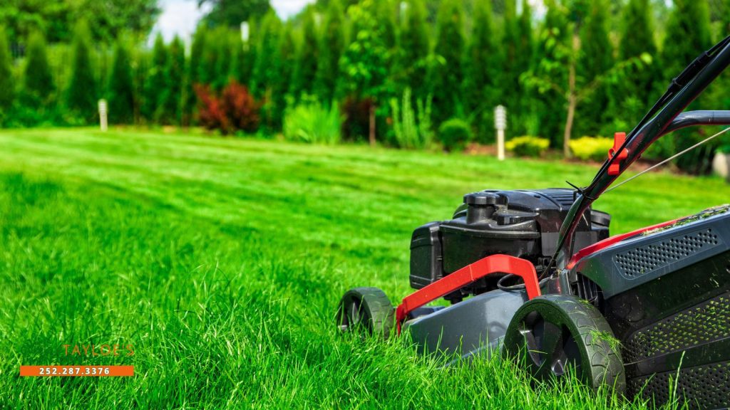 diy lawn care