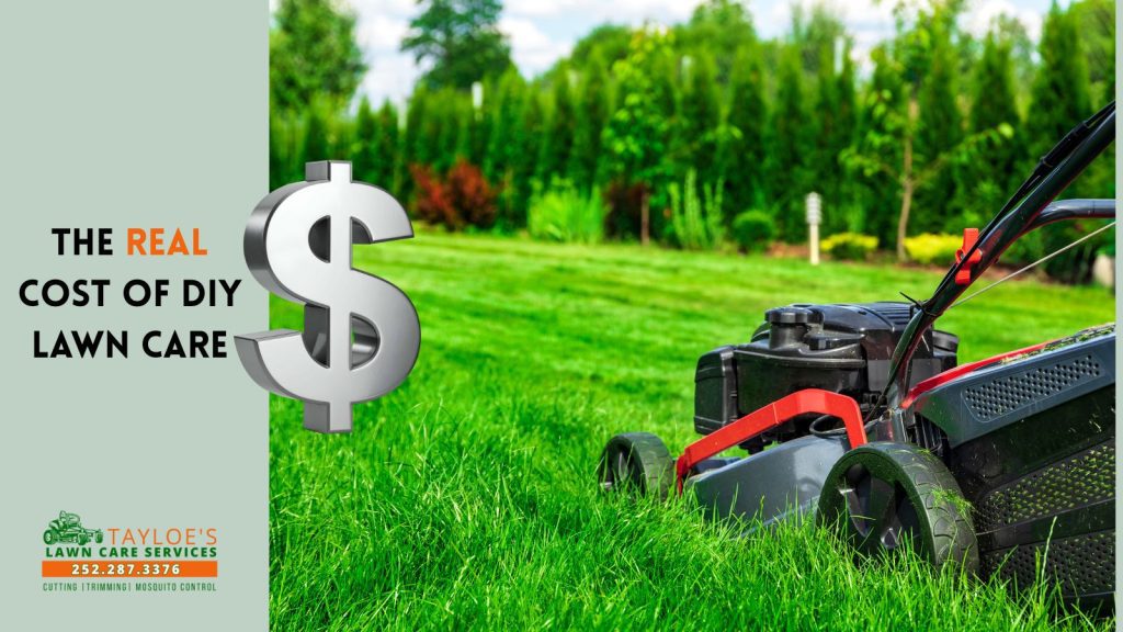 diy lawn care