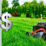 diy lawn care