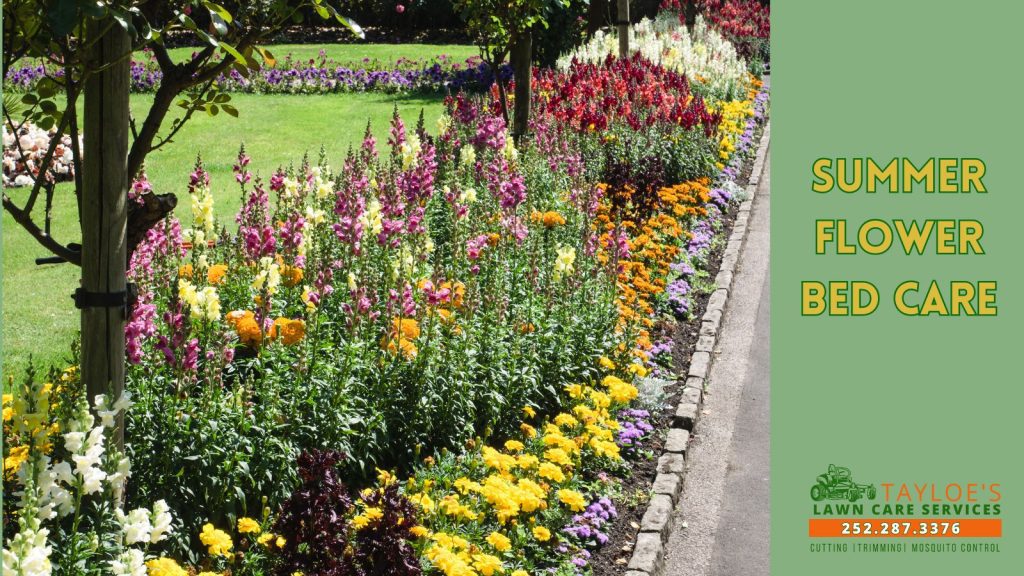 summer flower bed care