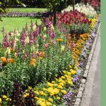 summer flower bed care