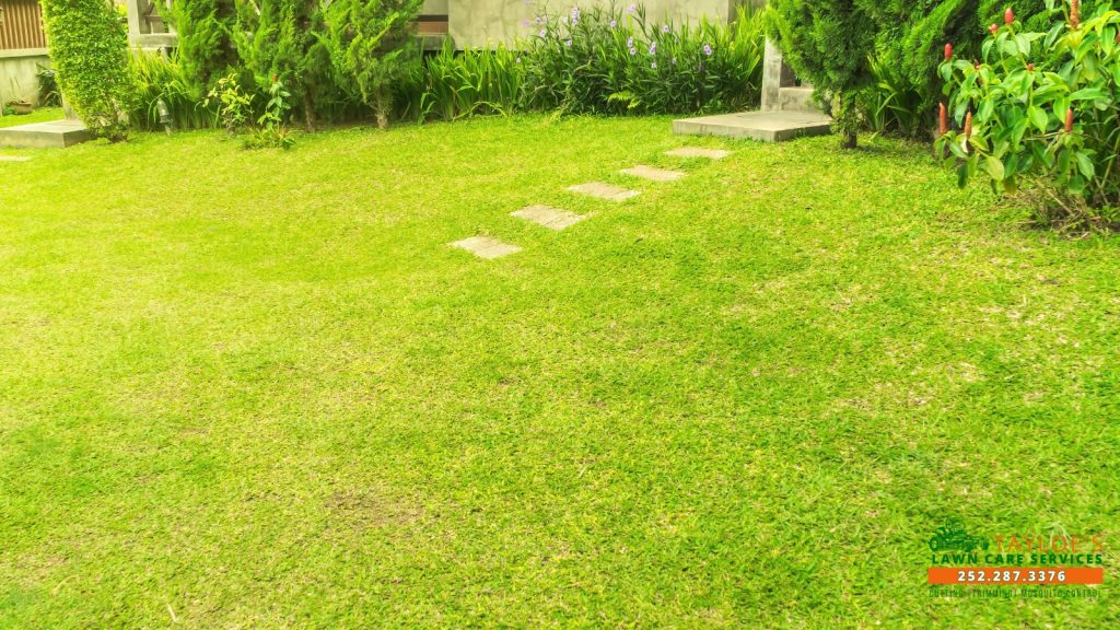 lawn damage