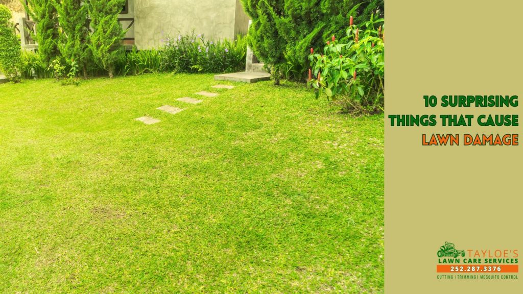 lawn damage