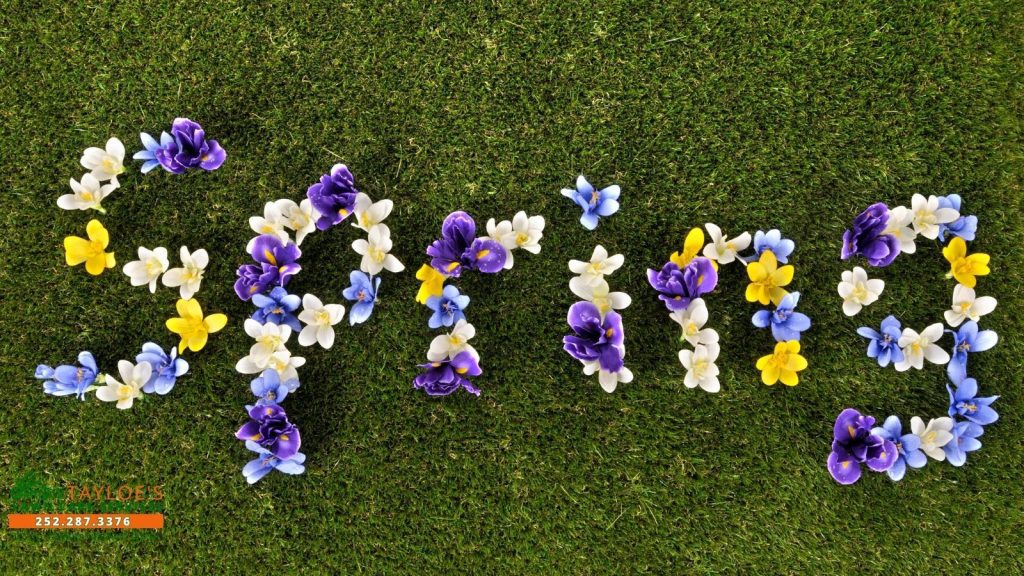 when does warm season grass wake up