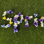 when does warm season grass wake up