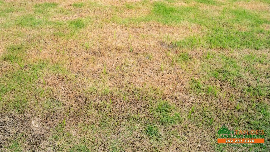 north carolina drought