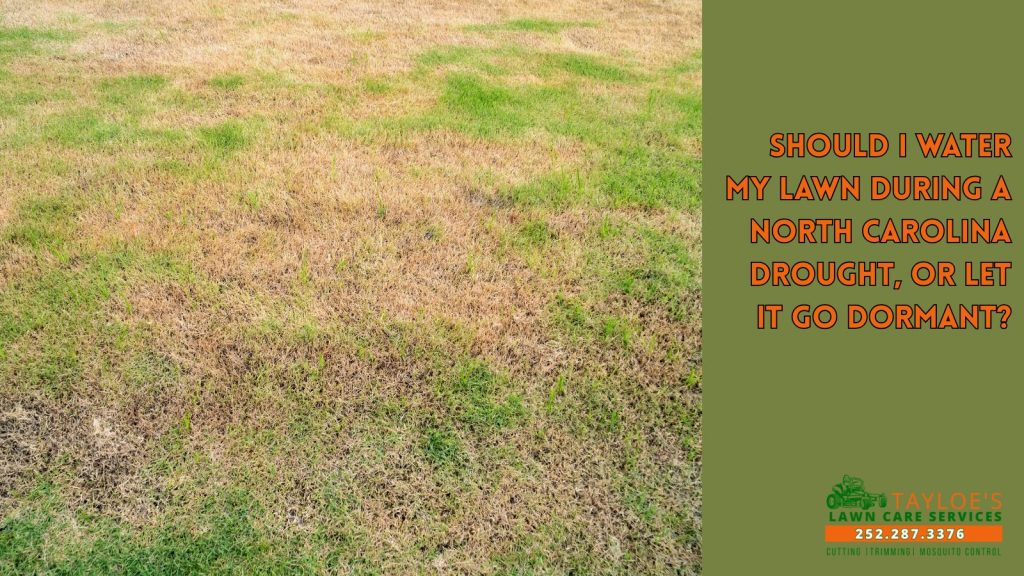 north carolina drought