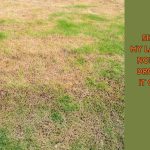 north carolina drought